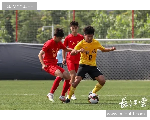 武汉足球队在全运会积分榜上以81分稳居第一名引发关注