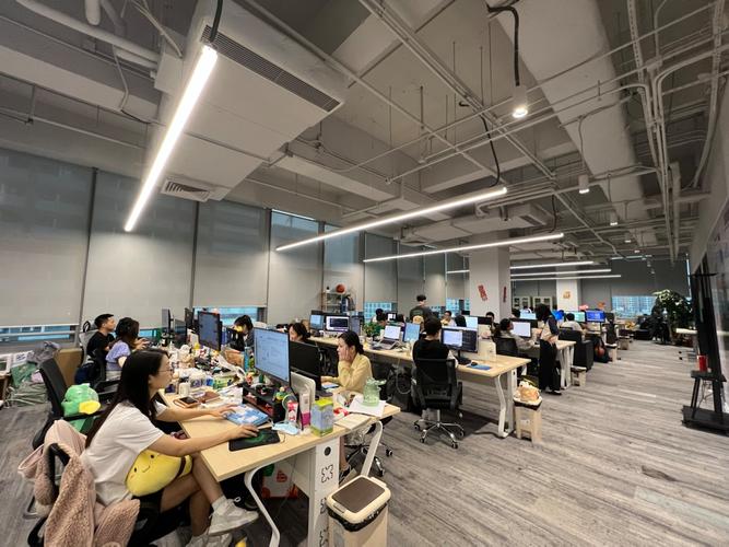 深圳信息技术公司的崛起密码 从区域赶超到全球竞合的创新路径